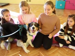 58244732613069367712342681576752476508846783n